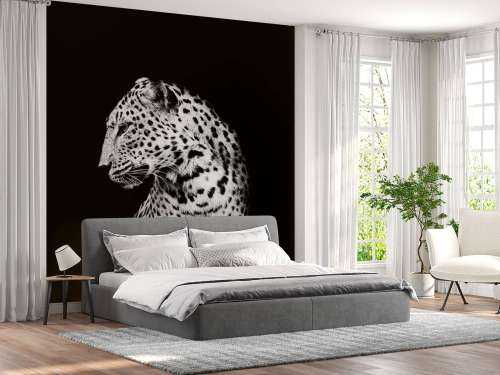 Dark Leopard