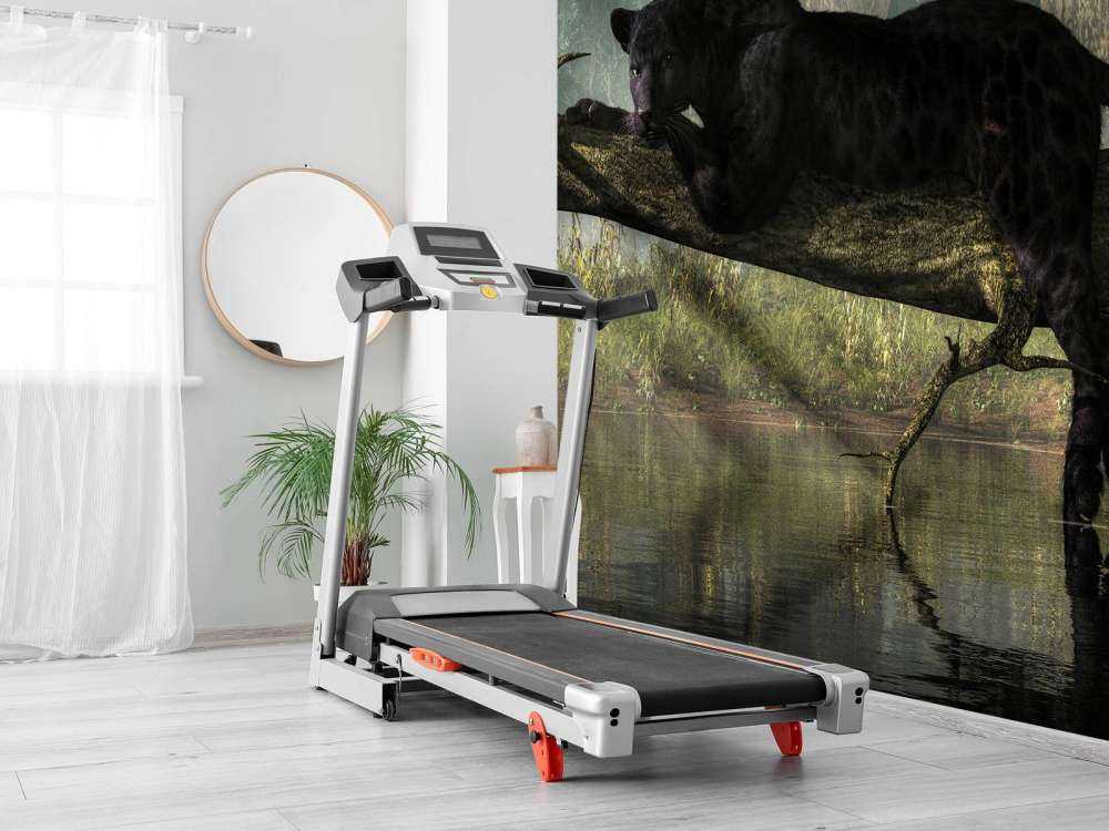 Panther i jungelen