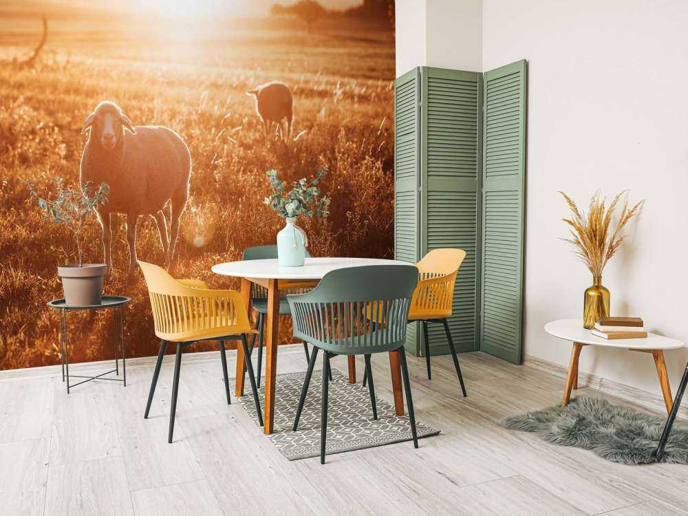 Sauer i vakkert beite