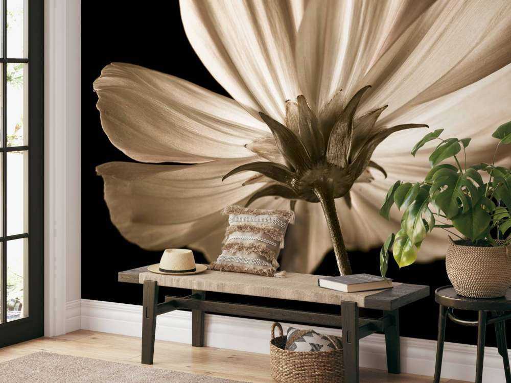 Kosmosblomst nedenfra