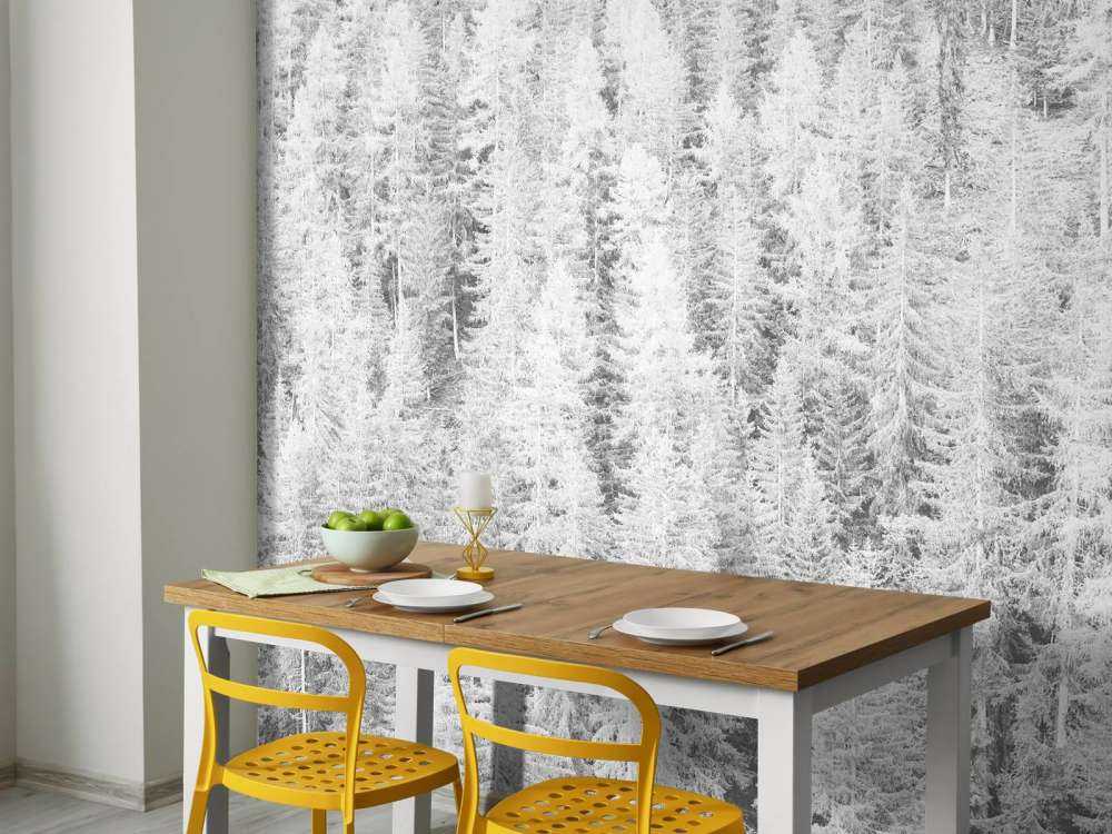 Bartrær i svart og hvitt