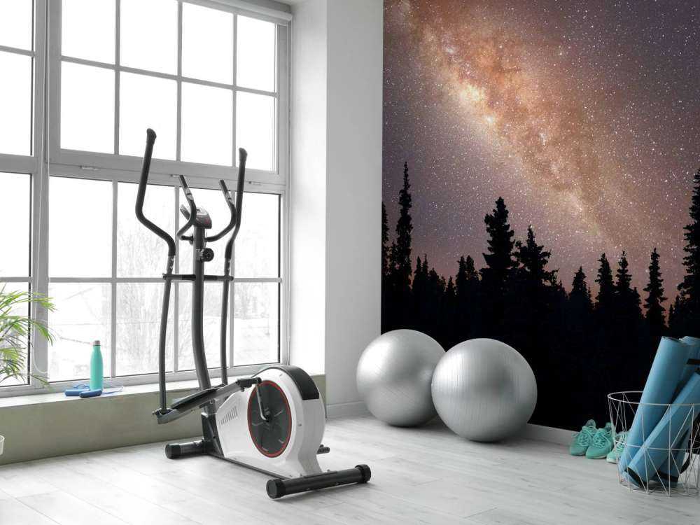 melkevei over silhuetten av trær