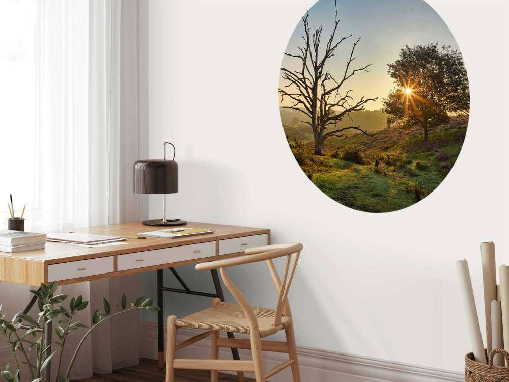 Oppgående sol på heia