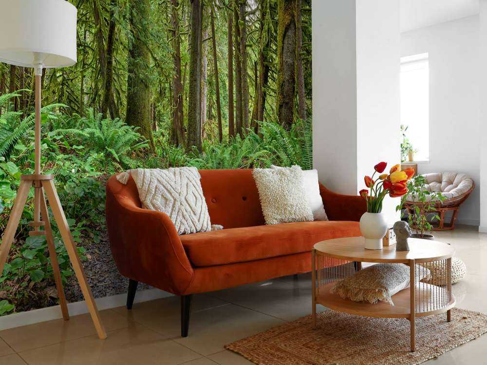 Sti med steiner gjennom skogen