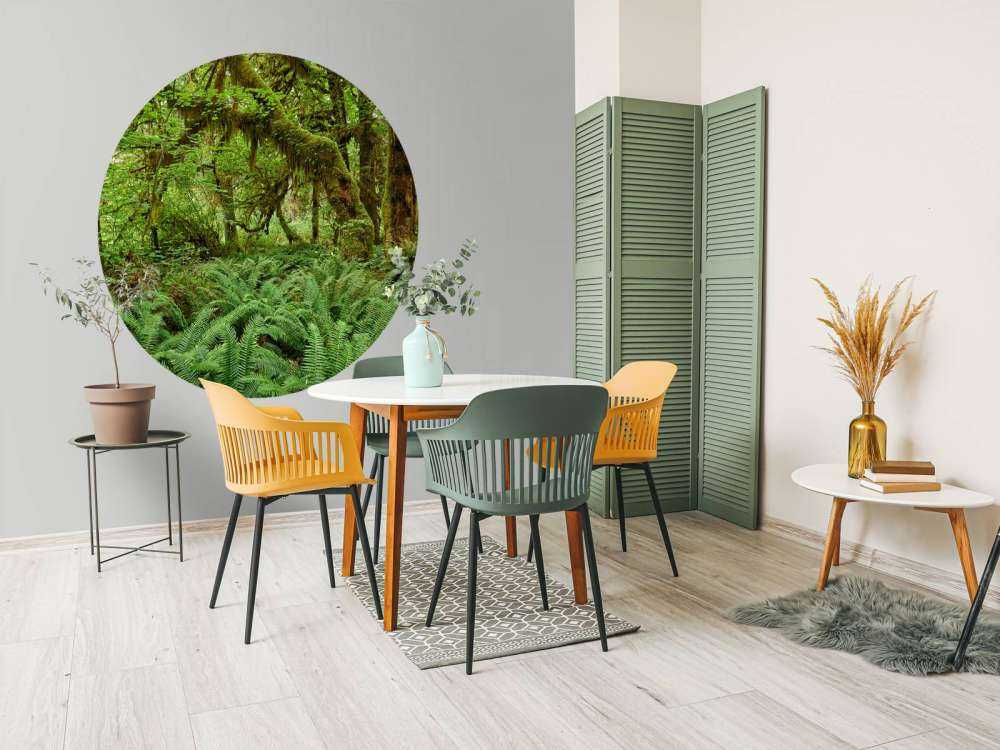 Bregner i en gammel skog