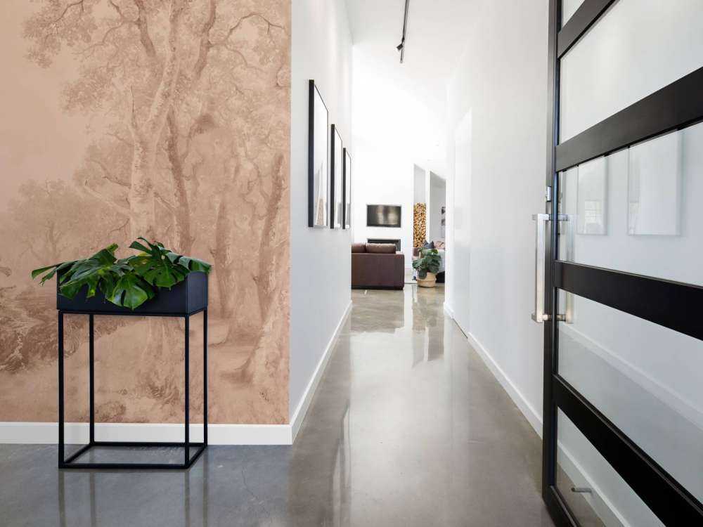 Skoglandskap Terra #1