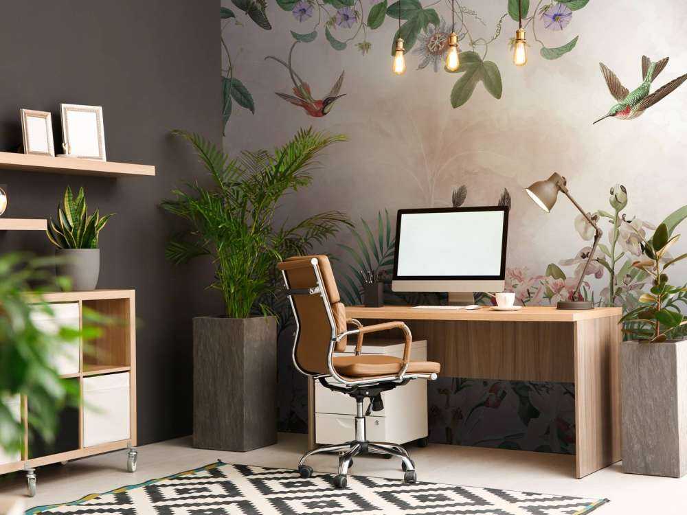 Tropic and Orchids 6