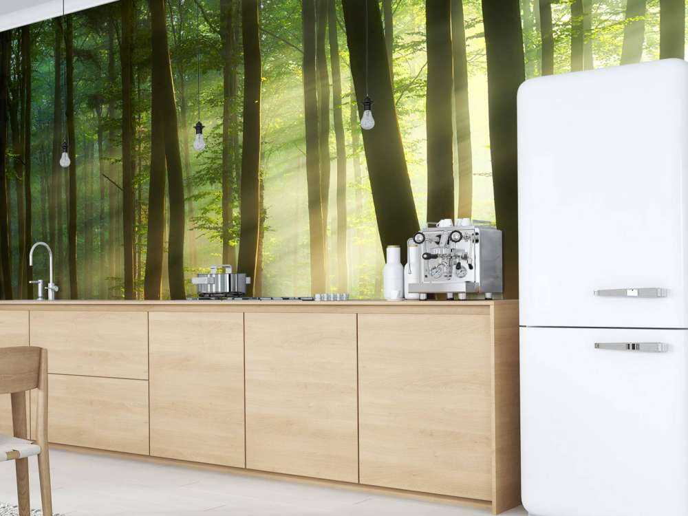 Morgensol blant trærne