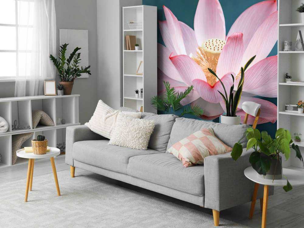 Rykke sammen, av, lotusblomst