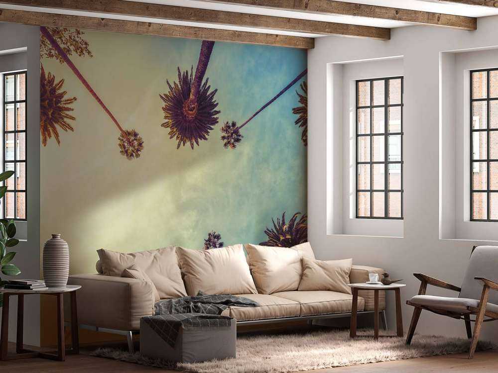 Sett nedenfra av palmer