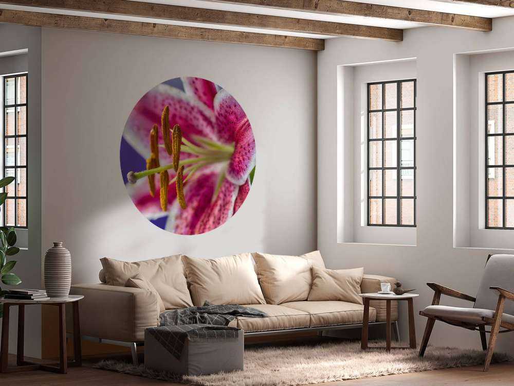 Nærbillede af lyserød blomst