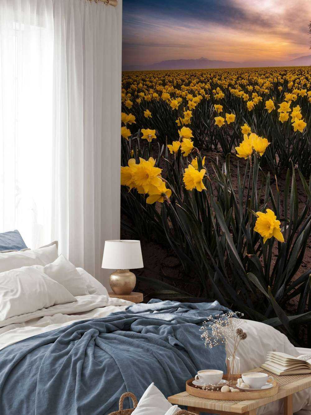 Mark med påskeliljer