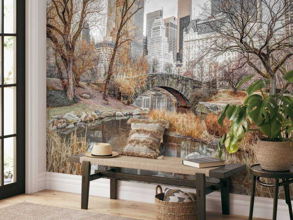 Central park om vinteren