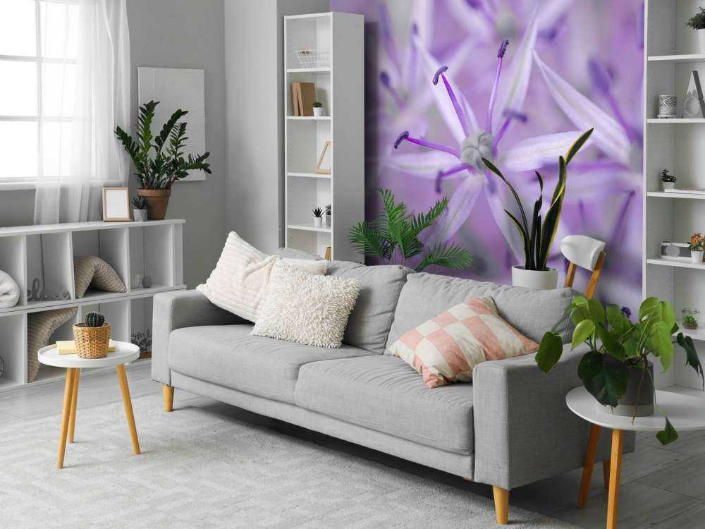 Lilla allium blomster