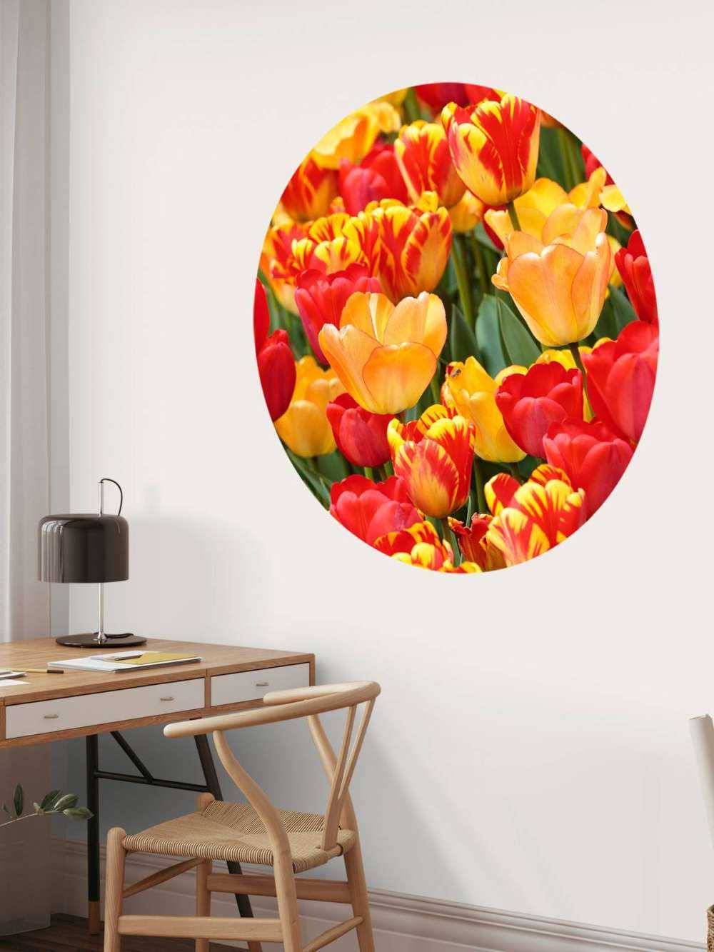 Farvede tulipaner