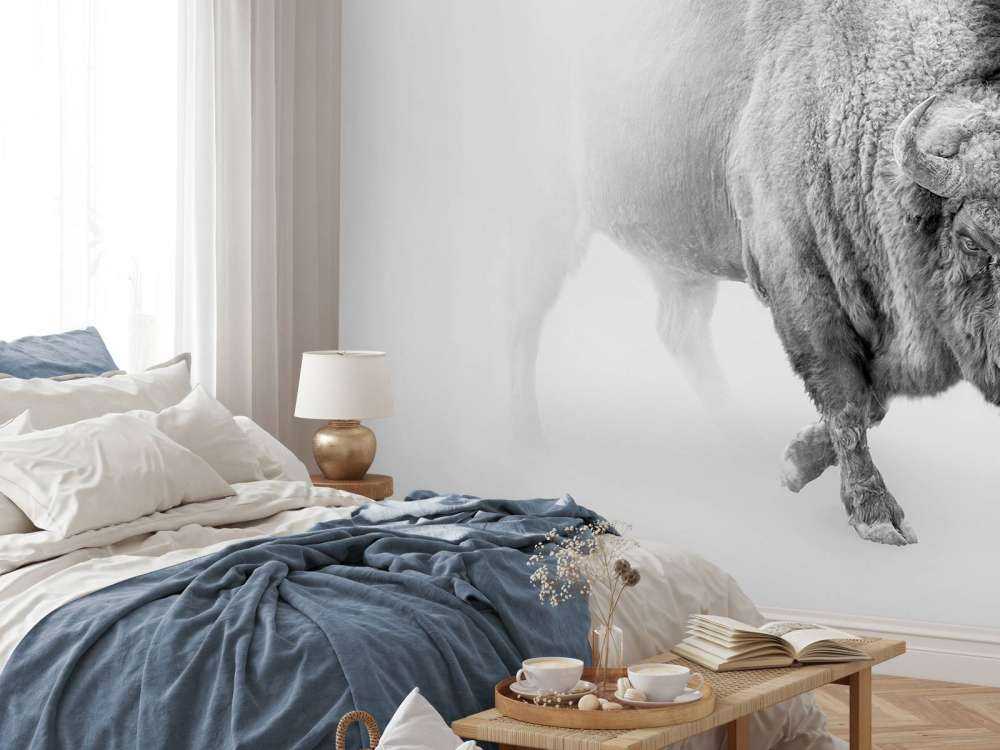 Bison sort, hvid