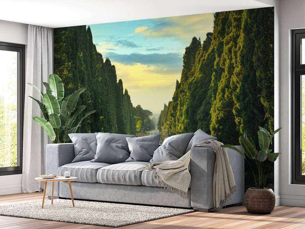 Vej med høje træer