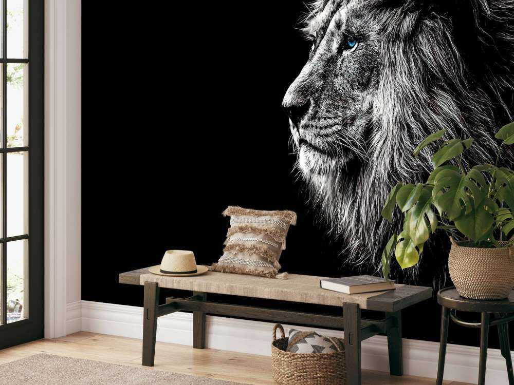 Løve med blå øjne