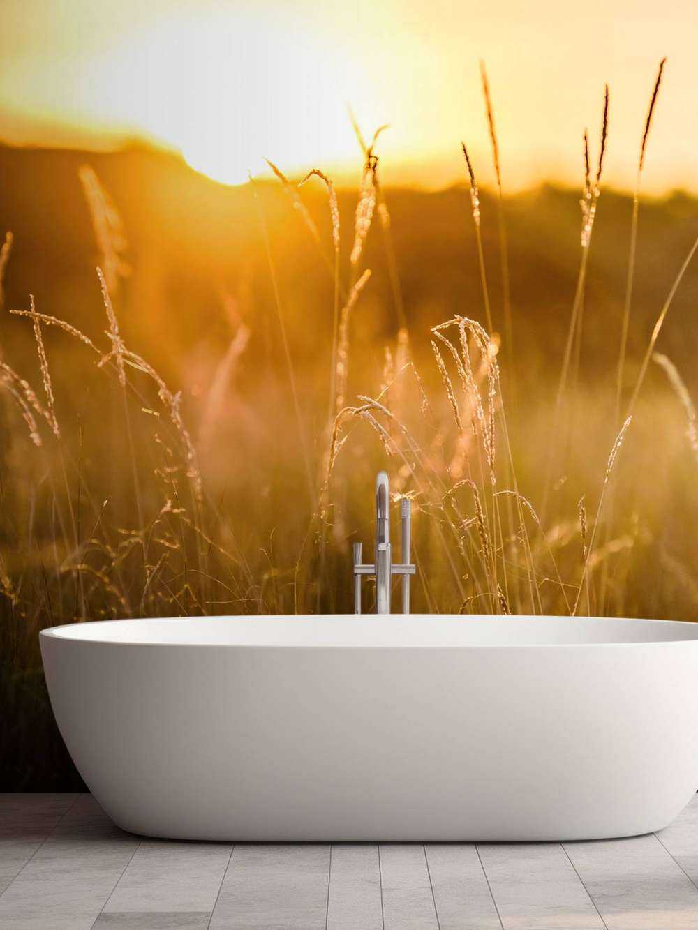 Solnedgang mellem kornet