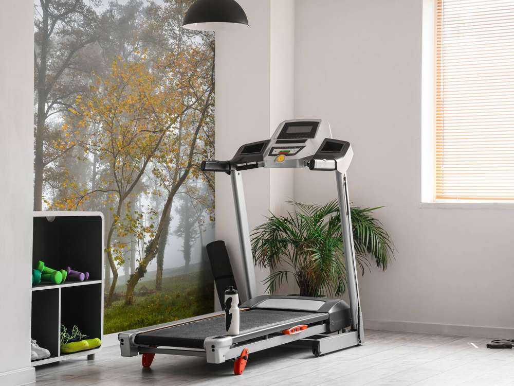 Græsmark med træer og tåge