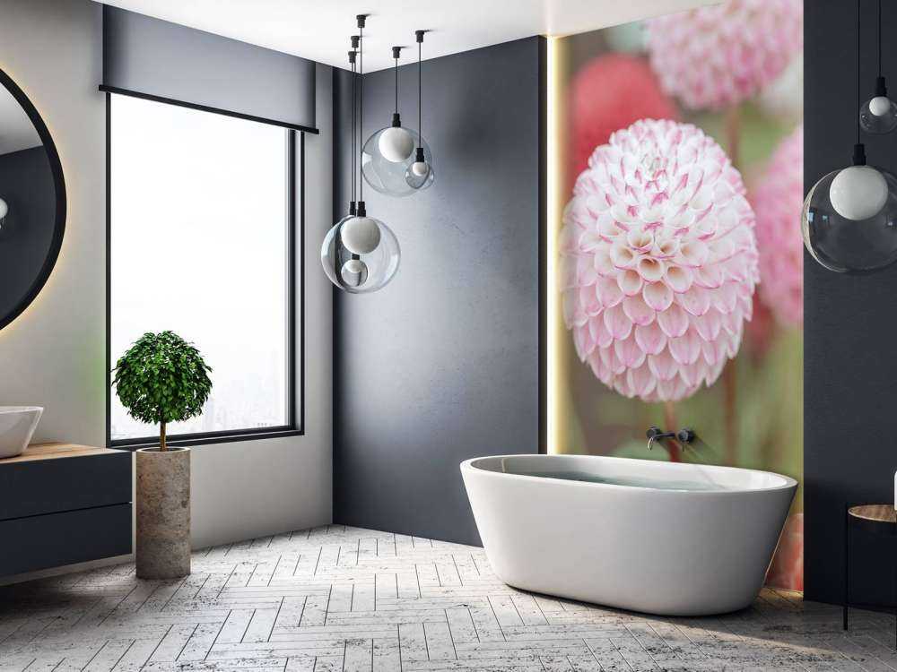 Pink dahlia blomster