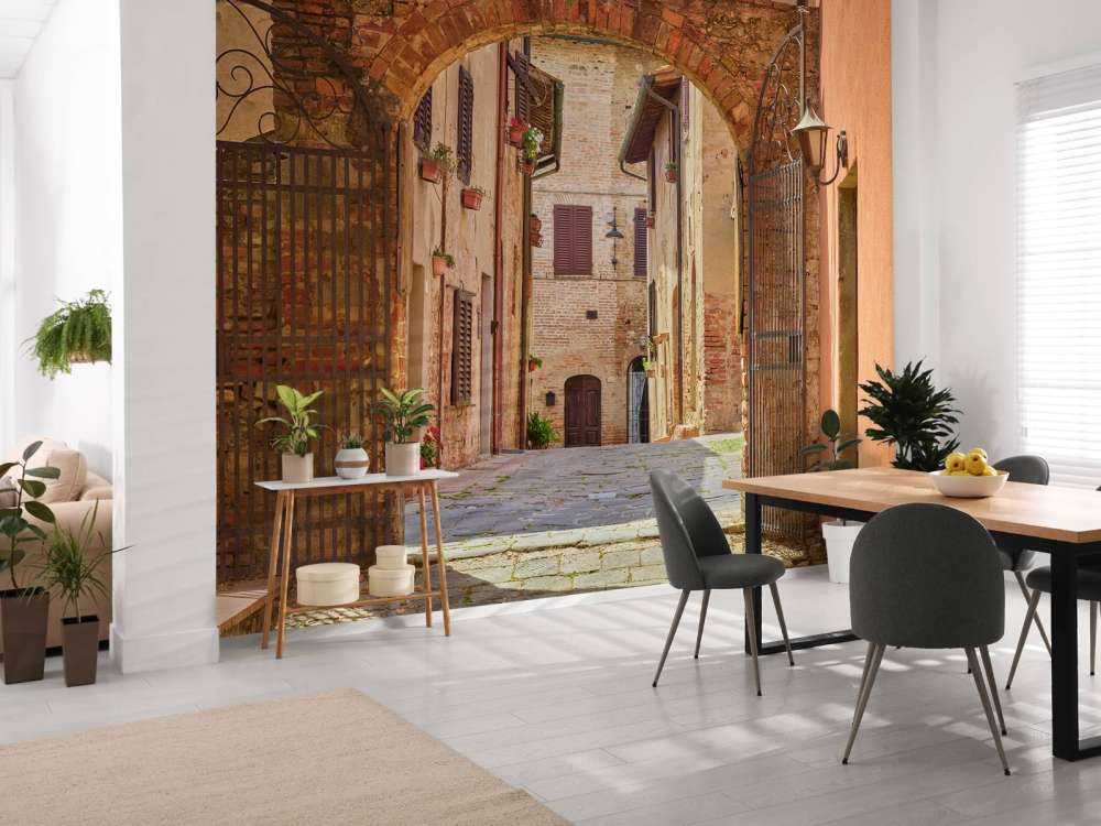 Gade med bue og port