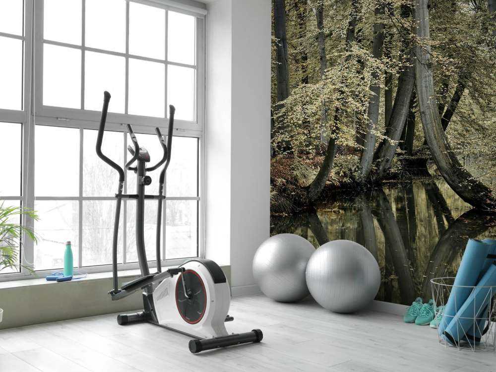 Vandløb med hængende træer