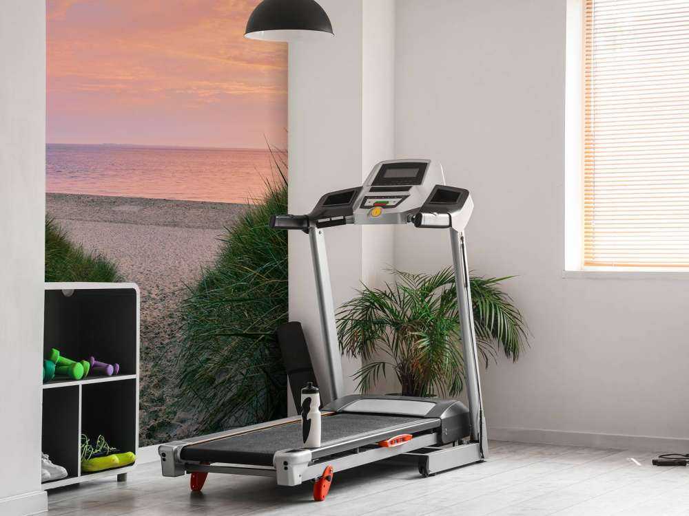 Klitpassage ved solopgang