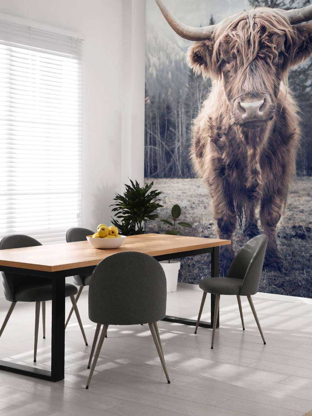 Scottish højlander ved skoven