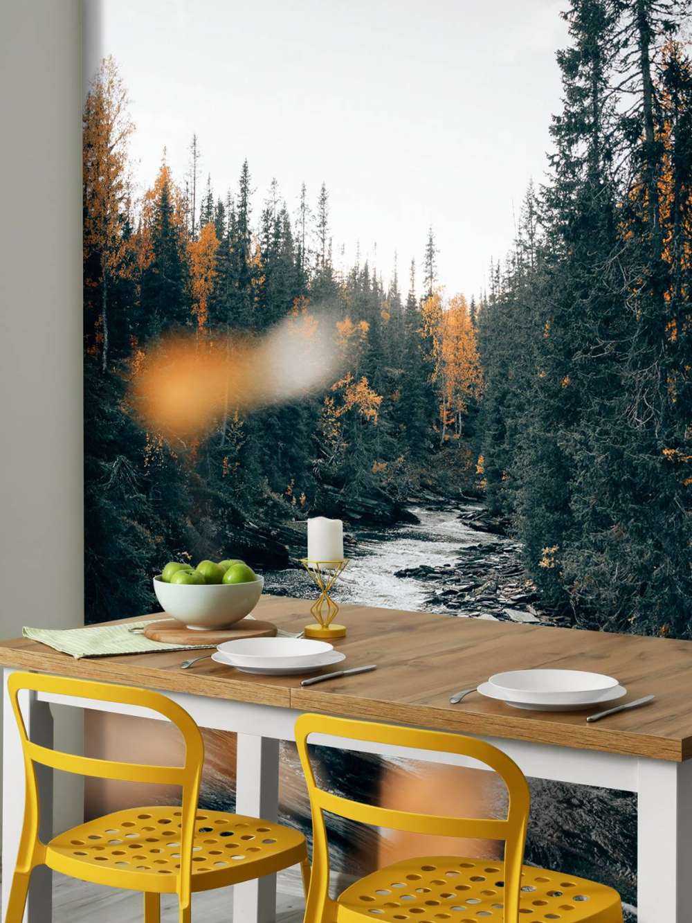 Fortryllet efterårsskov