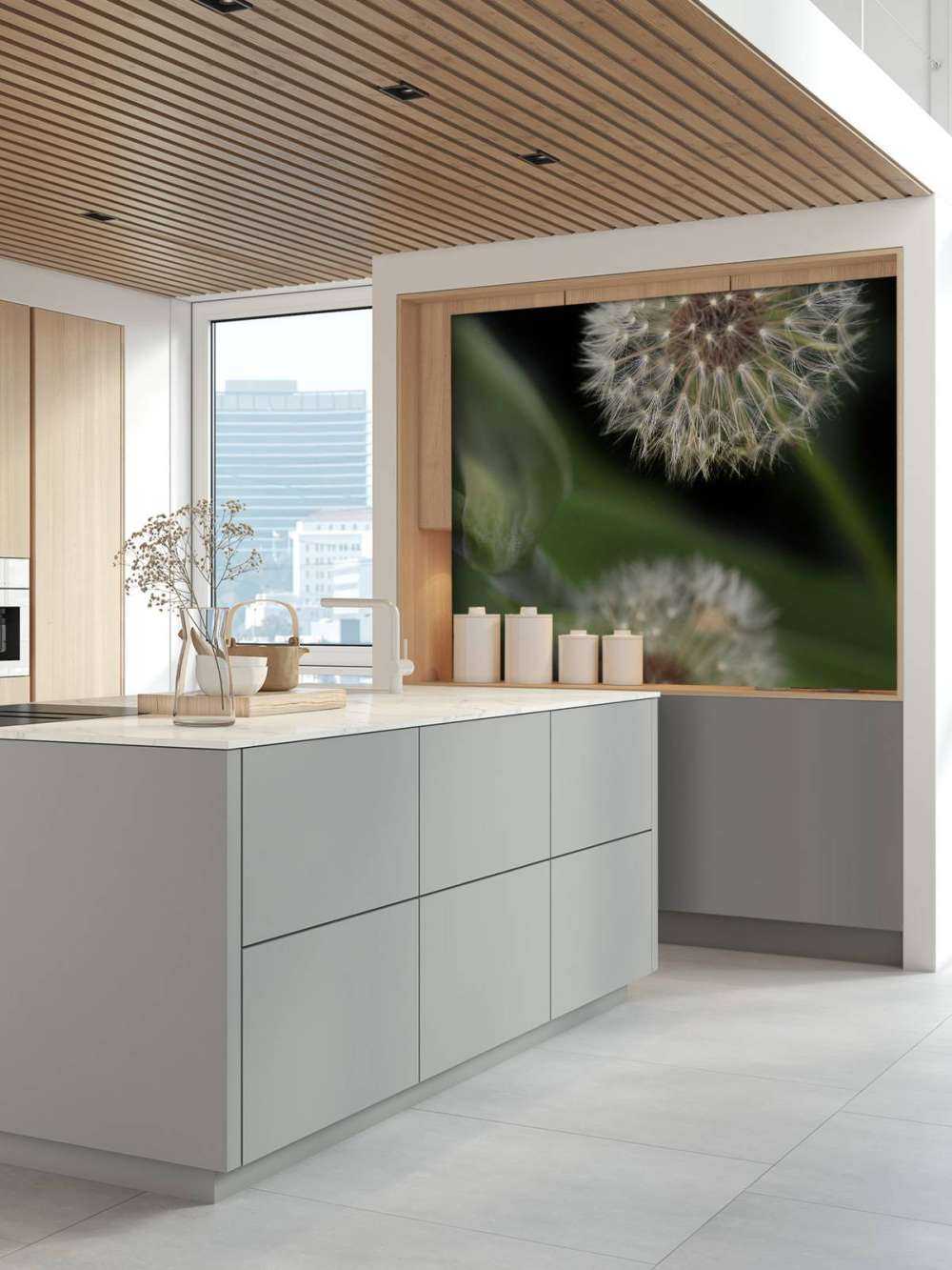 Närbild av maskrosor