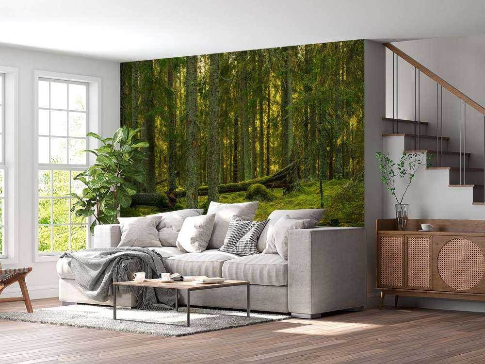 Grön tallskog