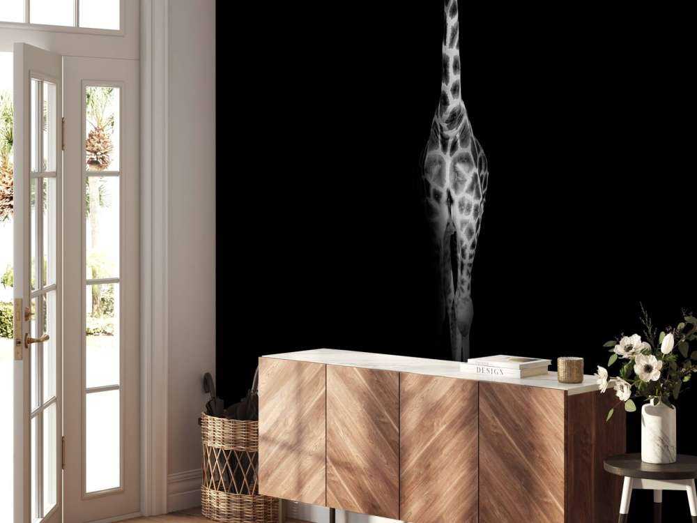Giraff svartvitt