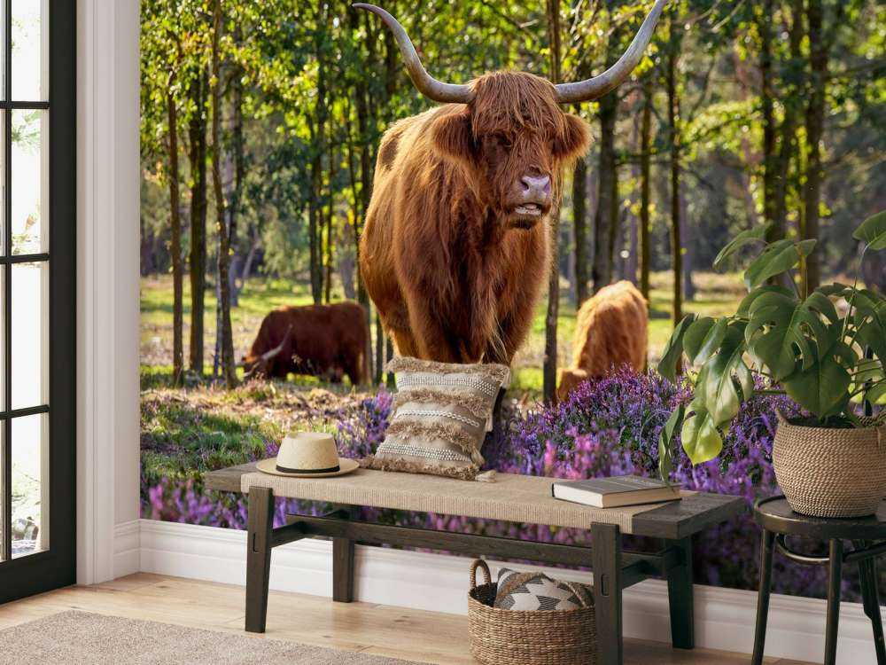 hoglandare i naturreservat