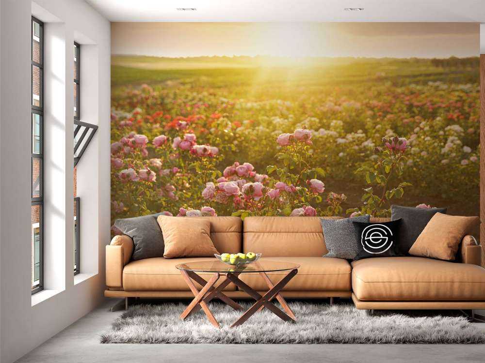 Fält fullt av rosor