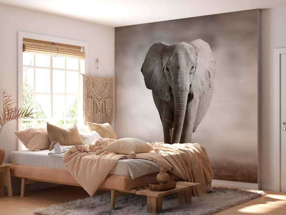 Vacker elefant