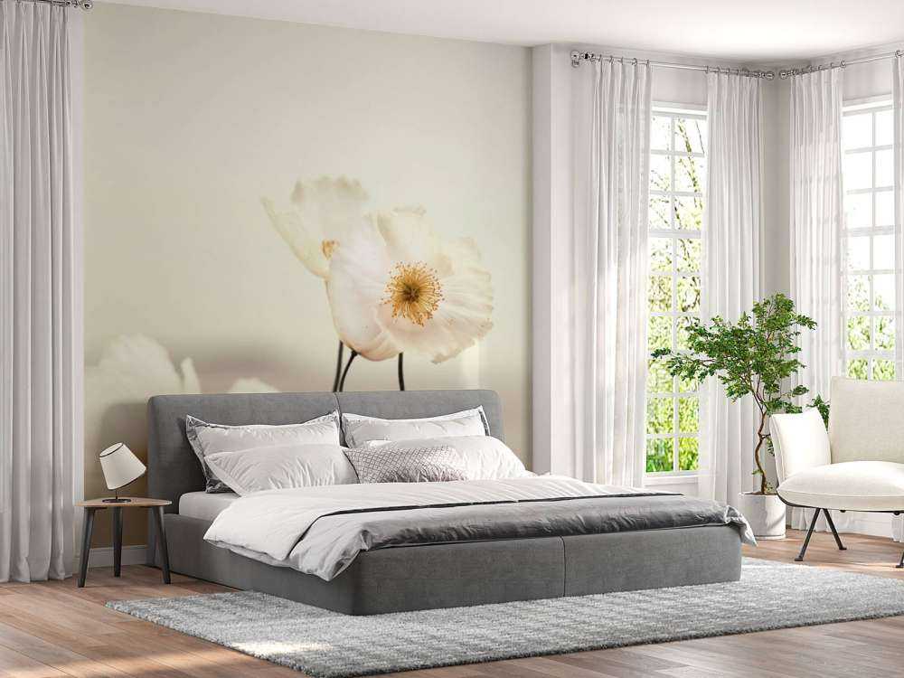 Närbild för vallmo