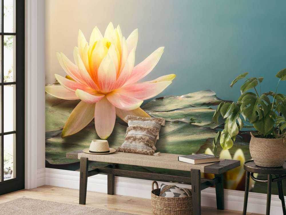 Damm med lotusblommor