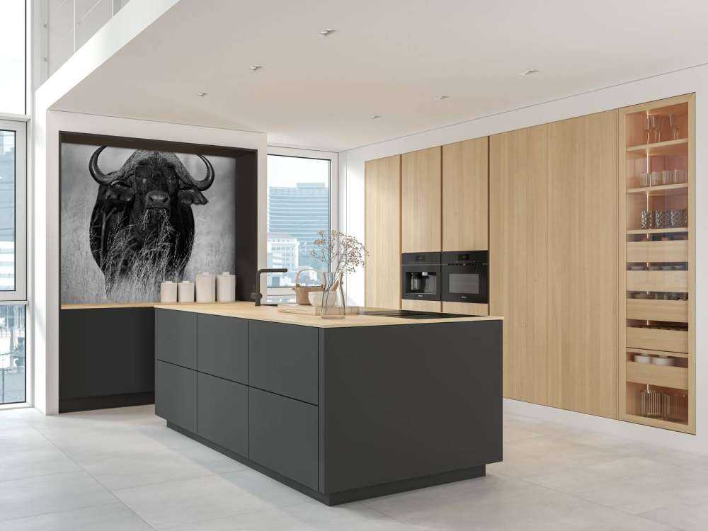 Buffalo i svart och vitt