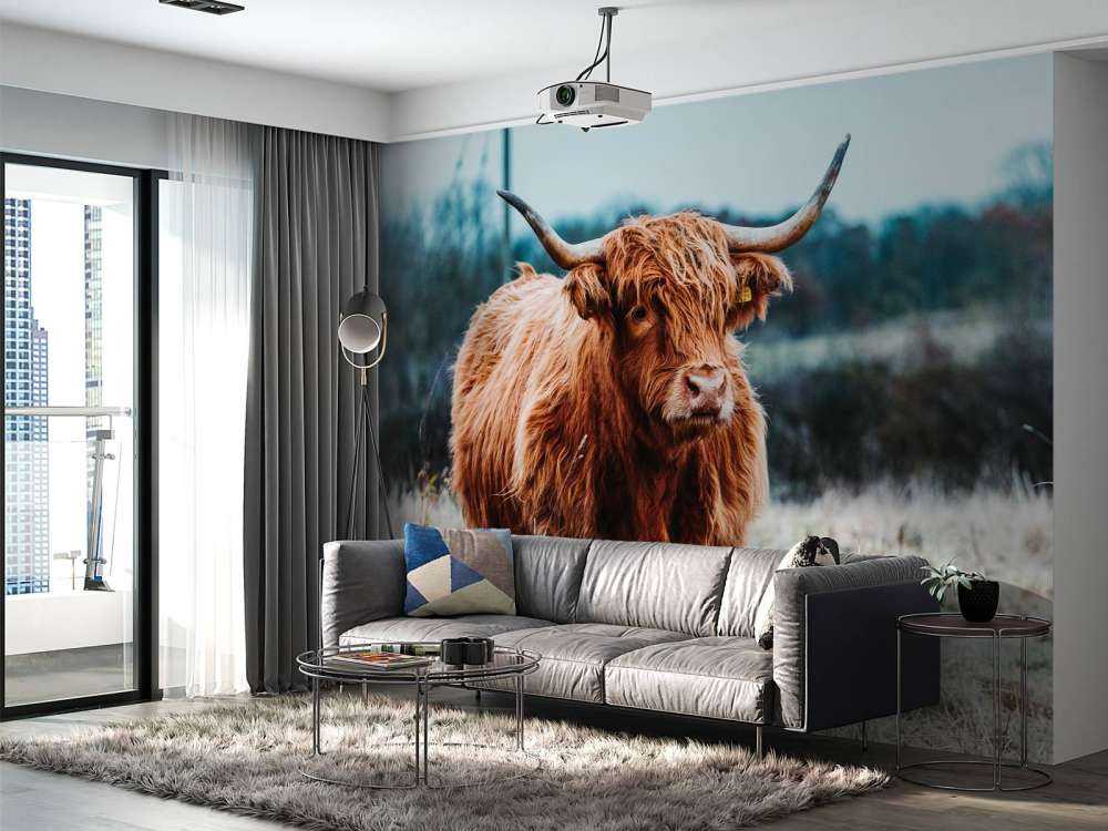 Skotsk hoglandare i skogen