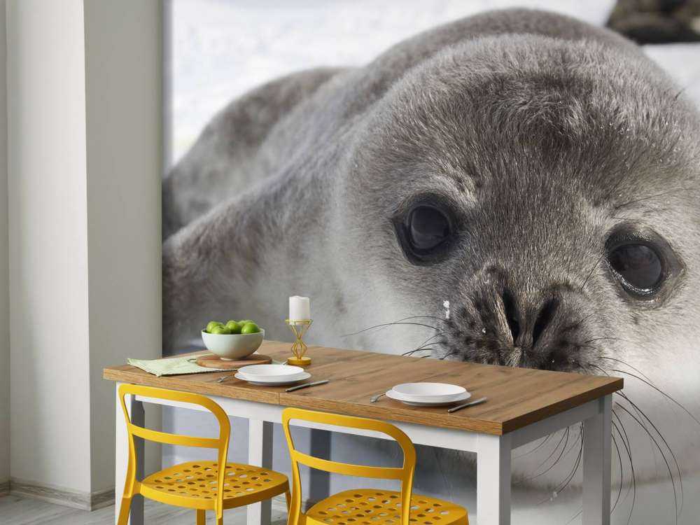 Närbild av en tätning