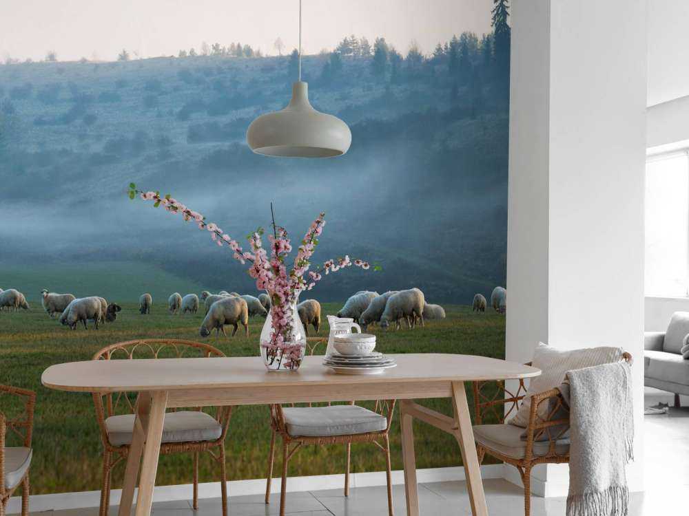 Fårflock i dimmigt landskap