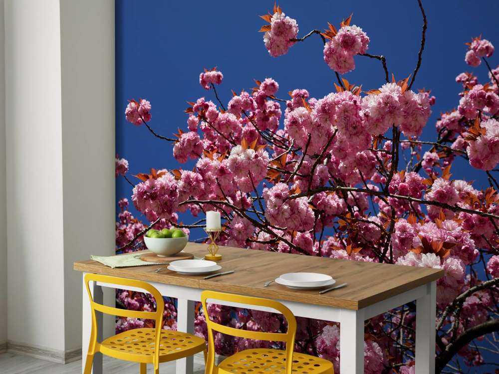 Rosa blomma med blå himmel