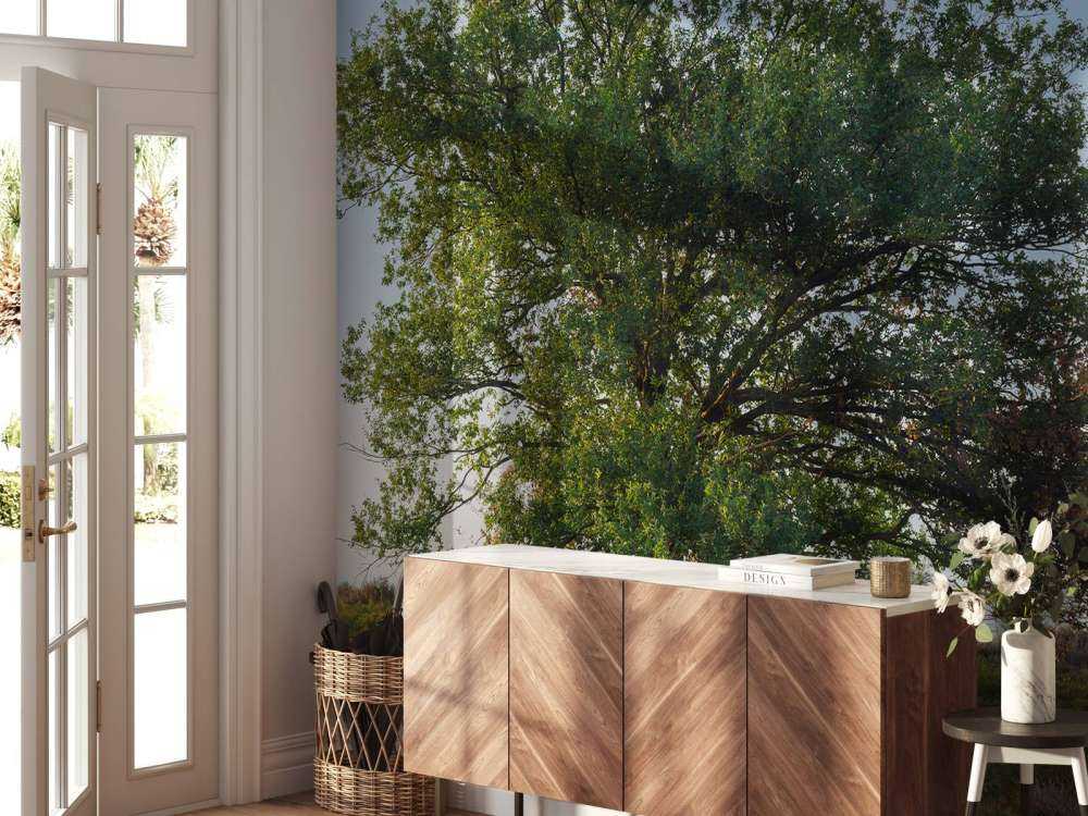 Ensamt träd på hedan