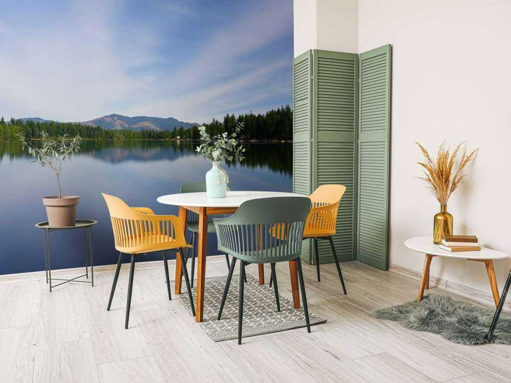 reflektion i sjön