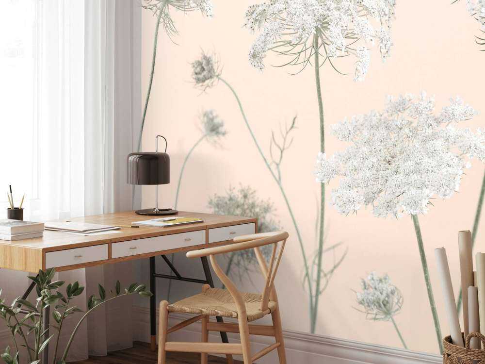 Cow parsley flowers on coloured background