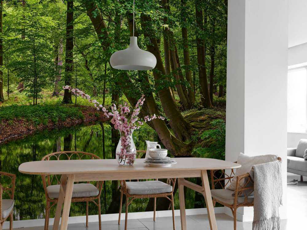 Buede Traer ved vannet