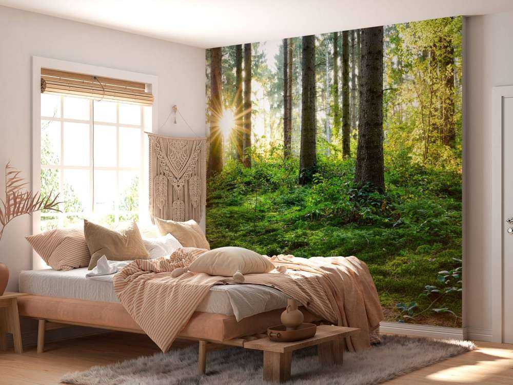 Skogpanorama om våren