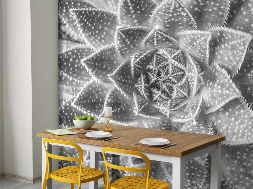 Nærbilde sukkulent plante