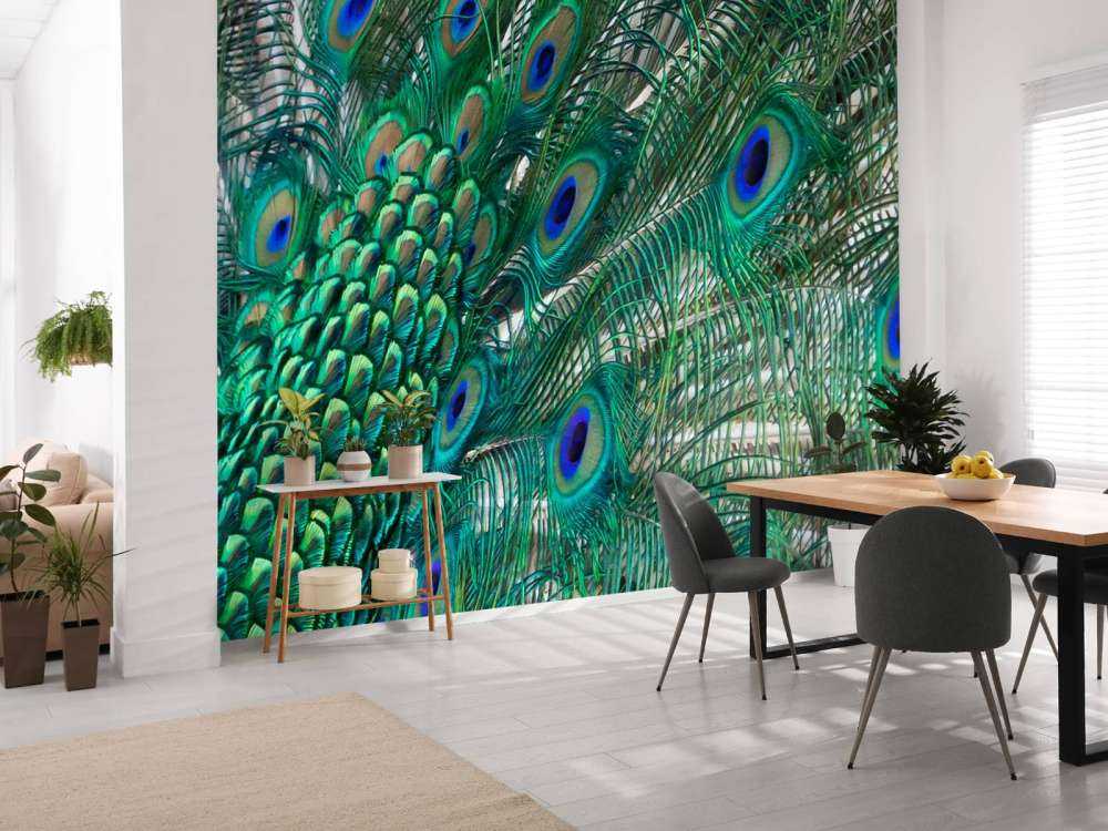 Farget fjærdrakt av en påfugl